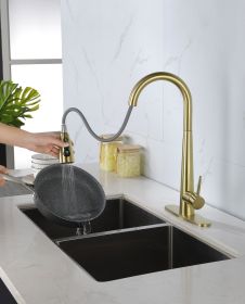 High Arc Single Handle Kitchen Sink Faucet with Deck Plate